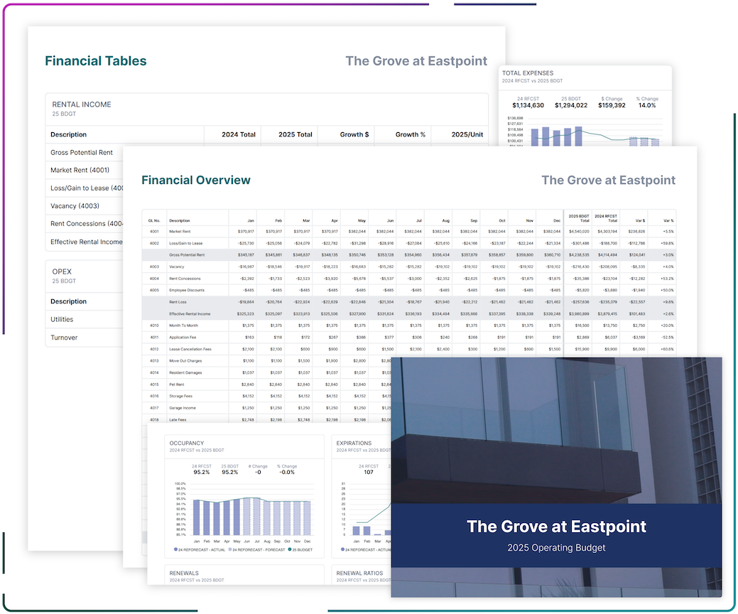 Executive summary reports showing financial tables, charts, and presentation-ready budget documents