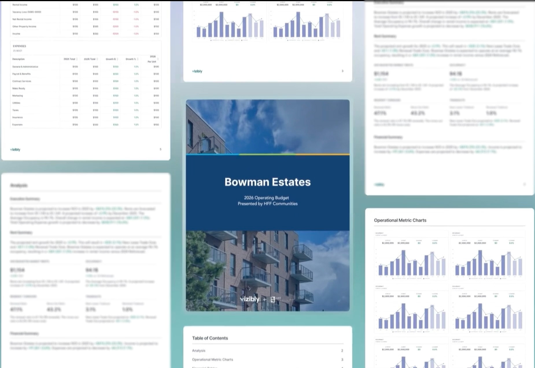 Vizibly Budget Reports and Analytics Dashboard